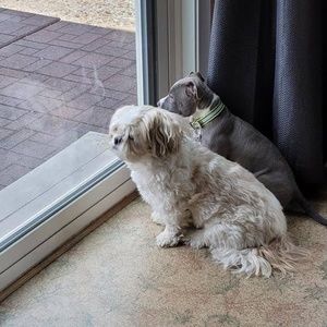 Meet your Posher, Roberta